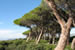 vue des iles de Lerins