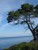 vue des iles de Lerins