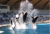 vue de marineland