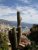 vue de monaco